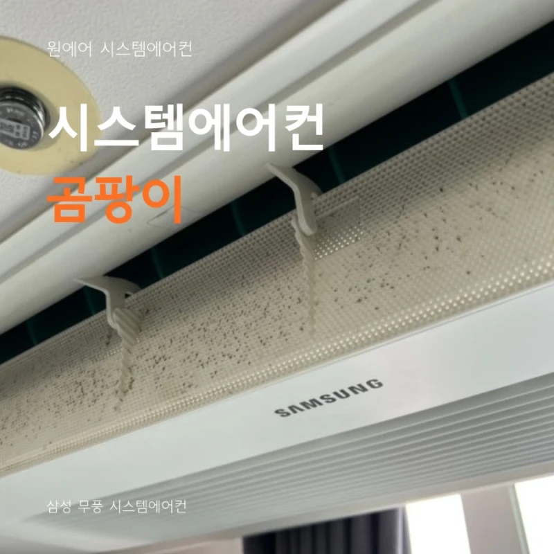 무풍 시스템에어컨 곰팡이, 왜 생기는 걸까요?