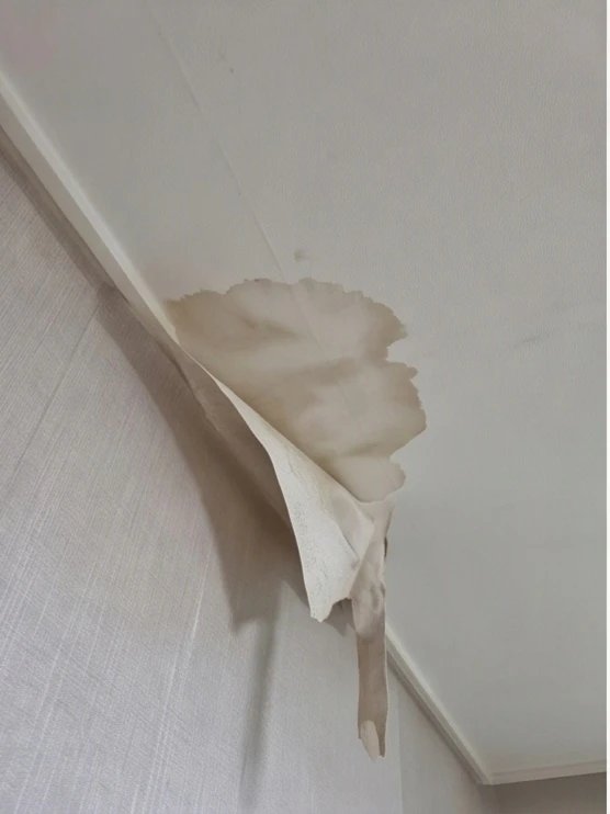 시스템에어컨 결로와 천장 곰팡이가 발생하는 원인과 예방 조치 · 시공 사진 9